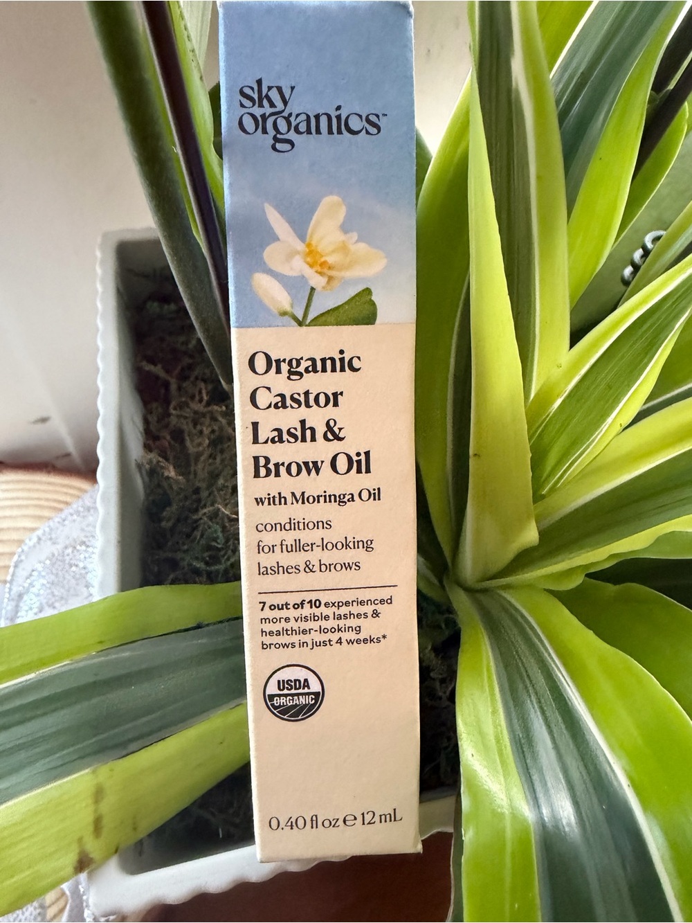 Sky Organics Organic Castor Lash & Brow Oil - Cream and Light Blue - Picture 5 of 5